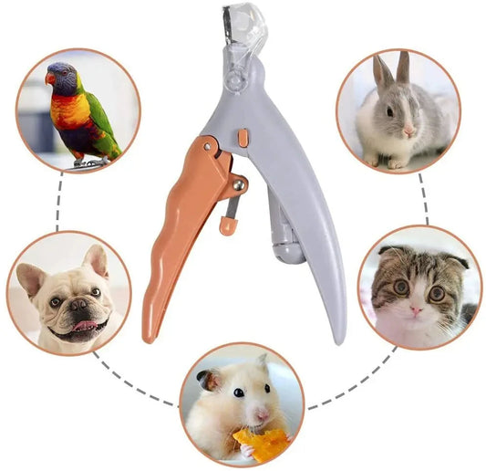 Coupe griffes chien et chat lumineux avec lumiere LED eclairant une patte par Famille Active