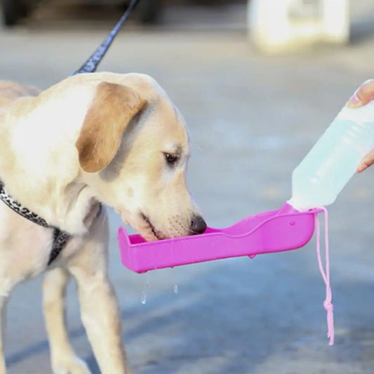 Gourde portable pour chien anti fuite en pleine utilisation par Famille Active