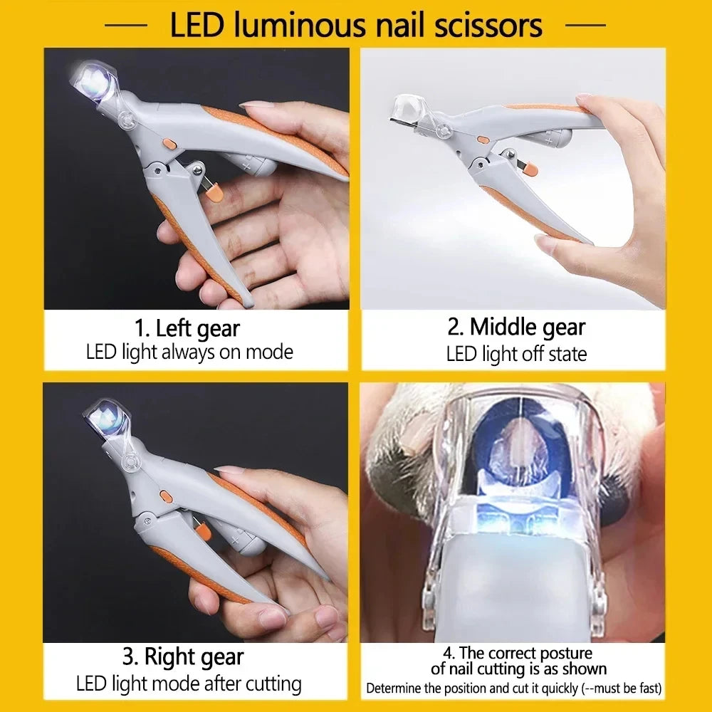 Coupe griffes chien et chat lumineux avec lumiere LED eclairant une patte par Famille Active