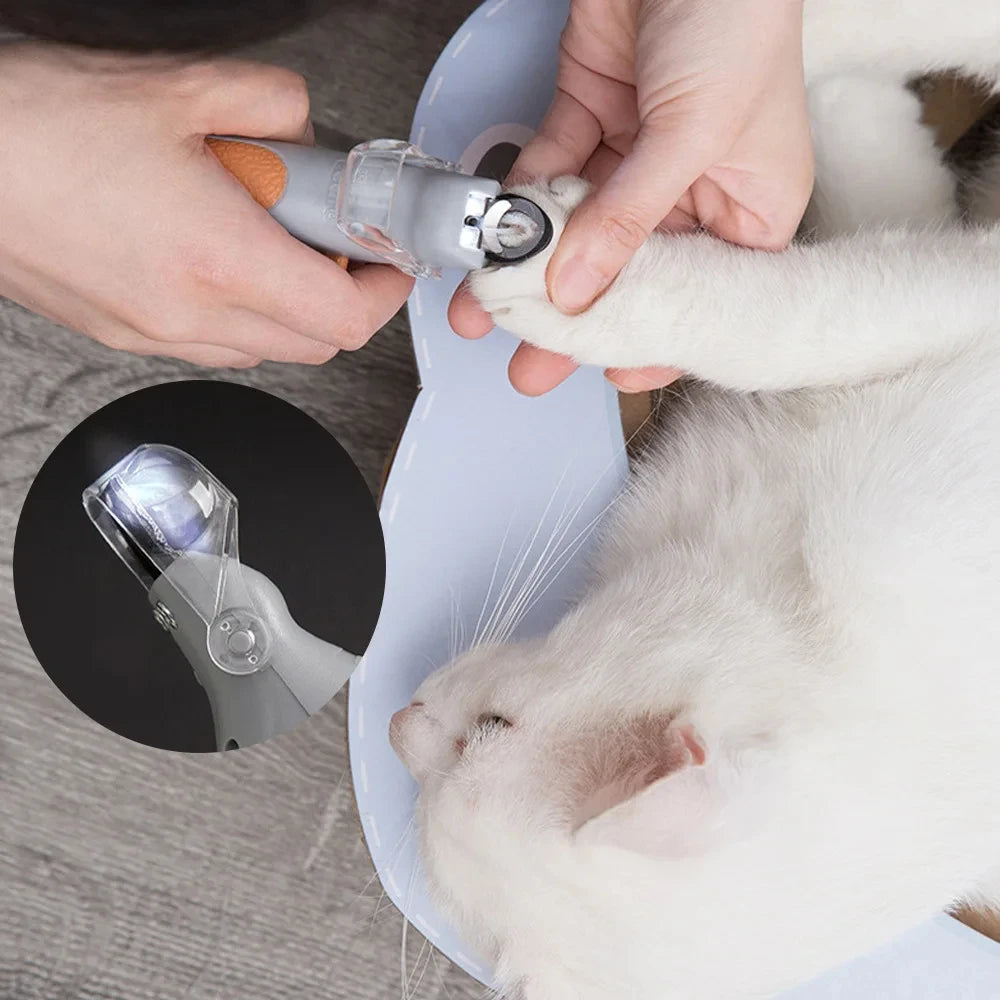 Coupe griffes chien et chat lumineux avec lumiere LED eclairant une patte par Famille Active