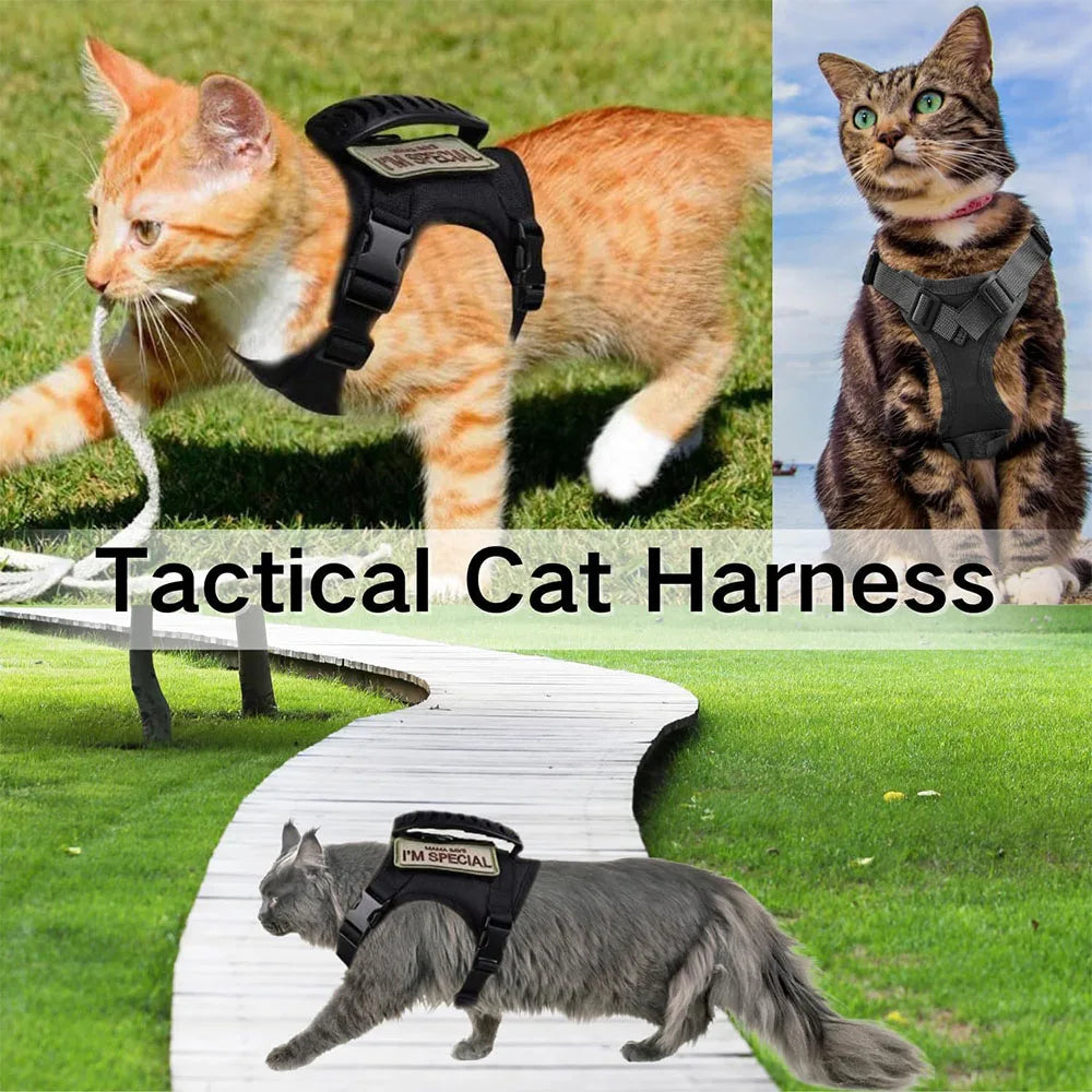 Harnais tactique pour chien robuste en nylon avec poignee superieure par Famille Active