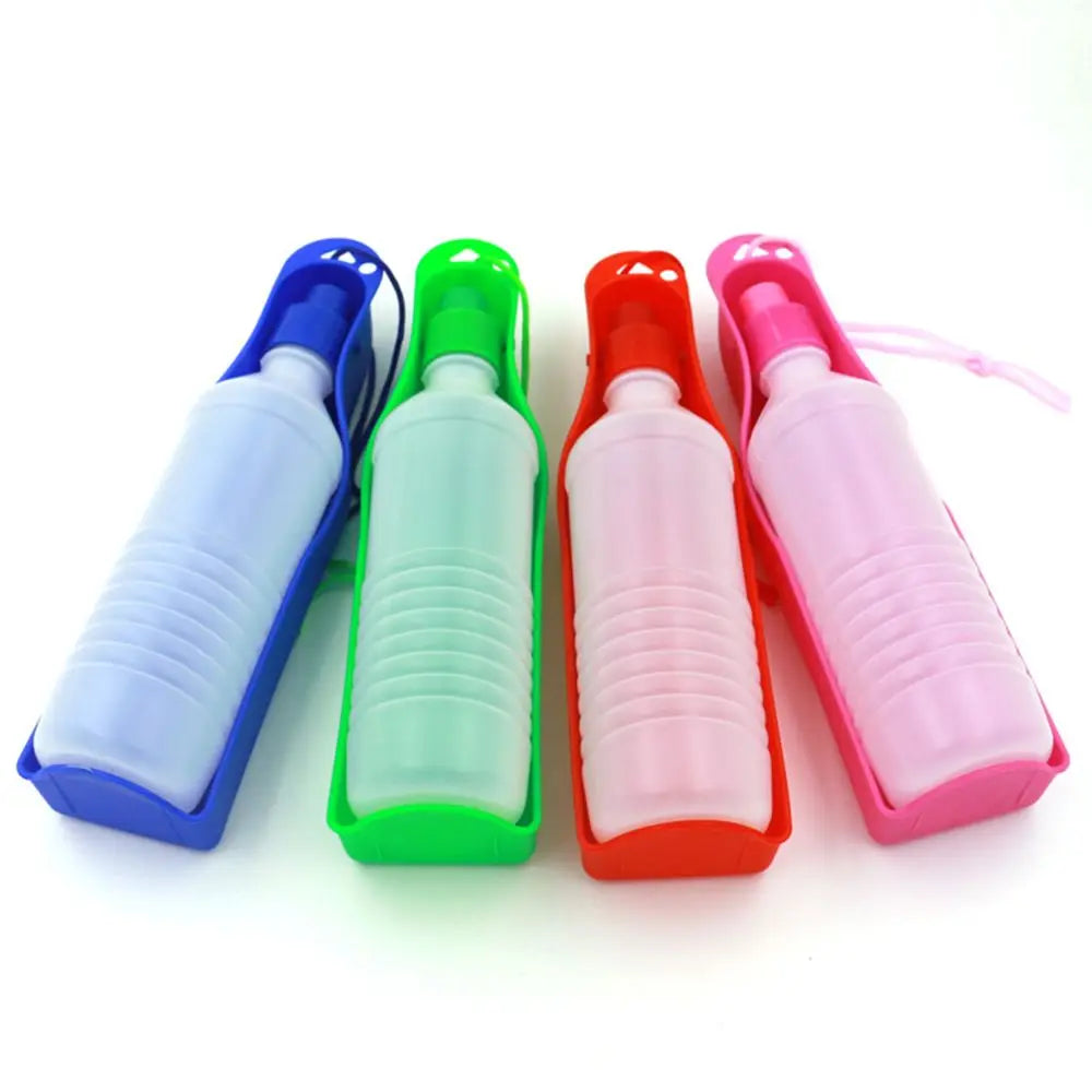 Gourde portable pour chien anti fuite en pleine utilisation par Famille Active
