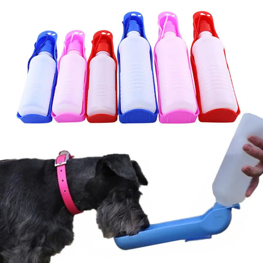 Gourde portable pour chien anti fuite en pleine utilisation par Famille Active