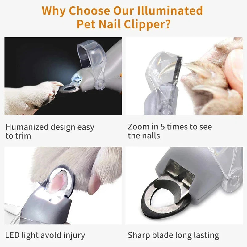Coupe griffes chien et chat lumineux avec lumiere LED eclairant une patte par Famille Active