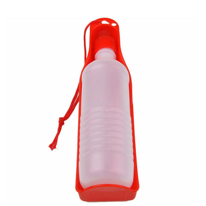 Gourde portable pour chien anti fuite en pleine utilisation par Famille Active