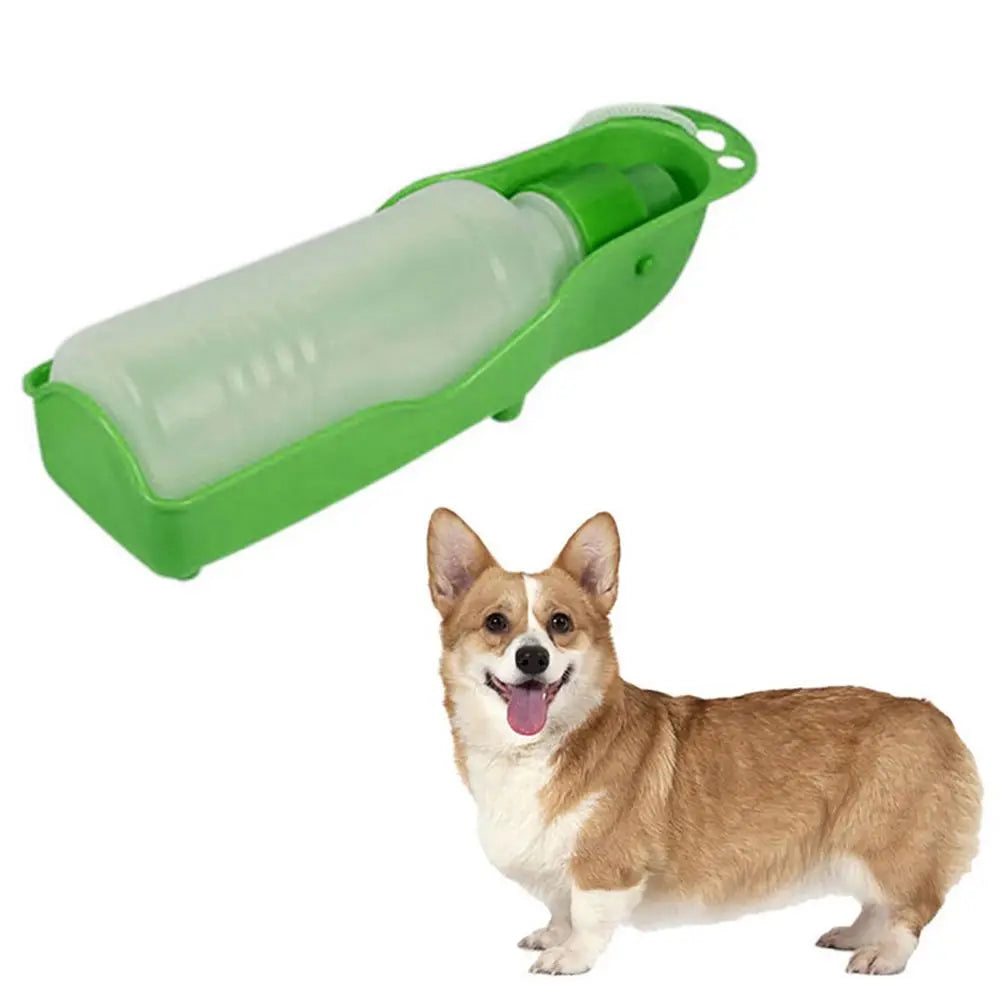 Gourde portable pour chien anti fuite en pleine utilisation par Famille Active