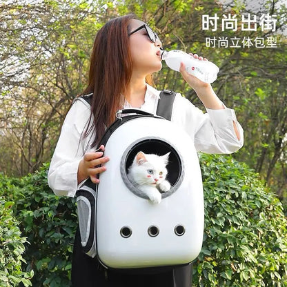 Sac à Dos Bulle pour Chat Transport Respirant - Famille Active  transparent avec un chat regardant par le hublot par Famille Active