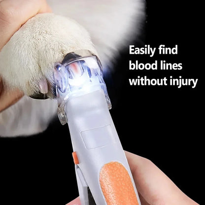 Coupe griffes chien et chat lumineux avec lumiere LED eclairant une patte par Famille Active