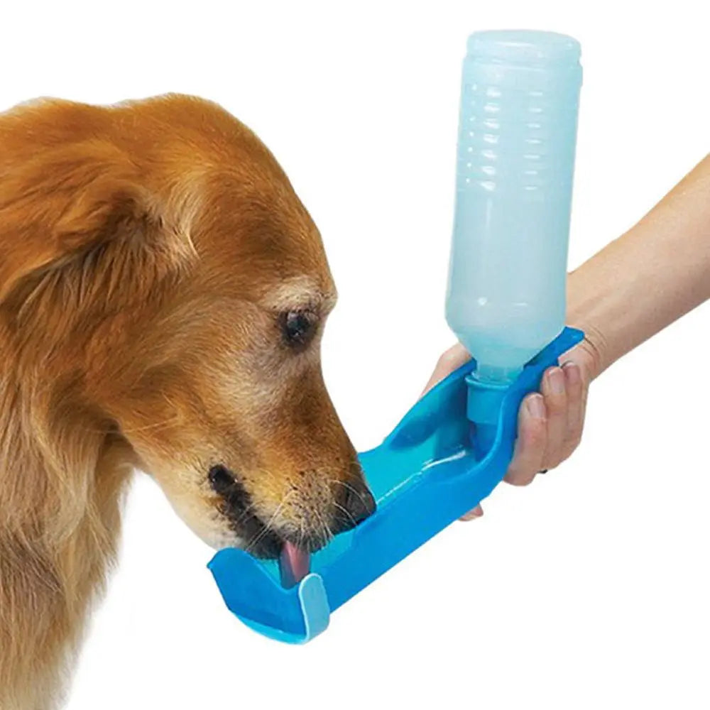 Gourde portable pour chien anti fuite en pleine utilisation par Famille Active