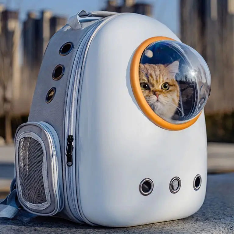 Sac à Dos Bulle pour Chat Transport Respirant - Famille Active transparent avec un chat regardant par le hublot par Famille Active
