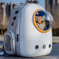 Sac à Dos Bulle pour Chat Transport Respirant - Famille Active transparent avec un chat regardant par le hublot par Famille Active